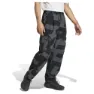 adidas Terrex Xploric Cargo Printed Joggers