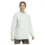 adidas Terrex Xploric Crewneck Sweatshirt