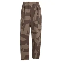 adidas Terrex Xploric Printed Cargo Hosen