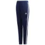 adidas Tiro 19 Training Hosen male, Dark blue / white