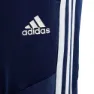 adidas Tiro 19 Training Hosen male, Dark blue / white