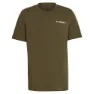 Focus olive