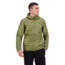 Focus olive