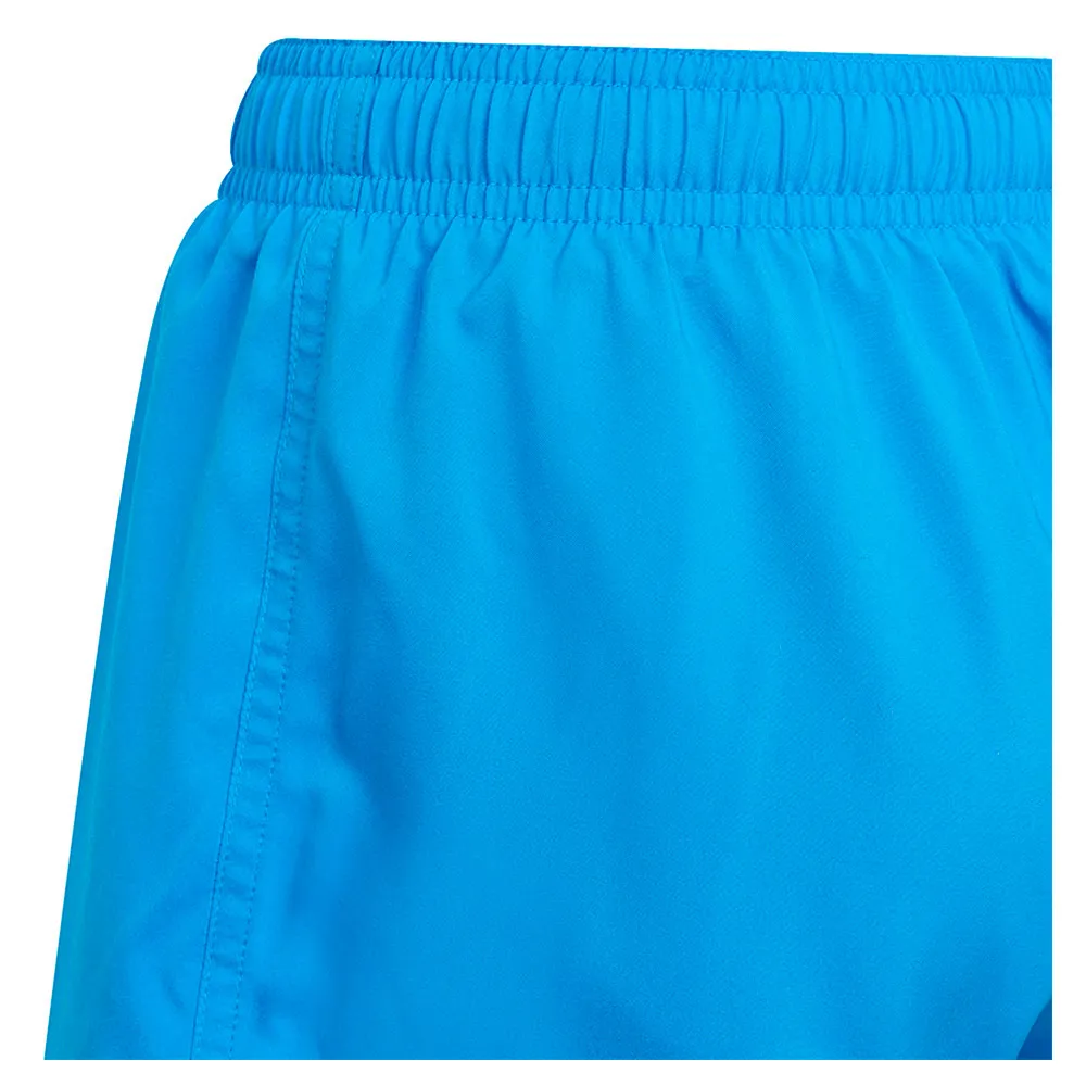 adidas Water-reactive Badeshorts male