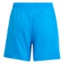 adidas Water-reactive Badeshorts male