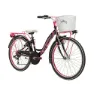 Adriatica Ctb 24´´ 6s Fahrrad, Black / pink, One Size