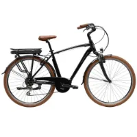 Adriatica New Age M80 Elektrofahrrad Adriatica New Age M80 Elektrofahrrad