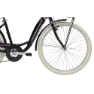 Adriatica Panda 26´´ 6s Fahrrad