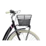 Adriatica Panda 26´´ 6s Fahrrad