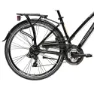 Adriatica Sity 2 H45 21s Fahrrad, Black, One Size