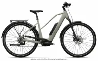 Advanced TREKKING Plus Mixed 10 Natural Grey 28" 545 Wh Trapez Advanced TREKKING Plus Mixed 10 Natural Grey 28" 545 Wh Trapez