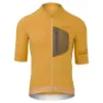 Ginger yellow