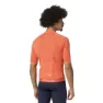 AGU Merino Performance Kurzarm-radtrikot