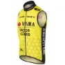 AGU Replica Visma | Lease A Bike 2024 Weste, Black / yellow