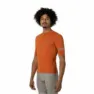 Ice tea orange 2
