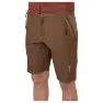 Brown 1
