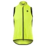 Neon yellow 1