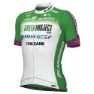 Alé Green Project-bardiani Csf-faizane Pro 2023 Kurzarm-radtrikot, Green / white
