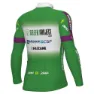 Alé Green Project-bardiani Csf-faizane Replica 2023 Langarm-trikot, Green