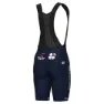 Alé Pr-s Groupama Fdj 2024 Trägerhose, Blue navy
