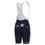 Alé Prime Groupama Fdj 2024 Trägerhose