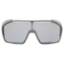 Alpina Bonfire Sonnenbrille, Grey midnight, Black/CAT3