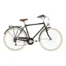 Alpina Condor 28´´ 6s Fahrrad