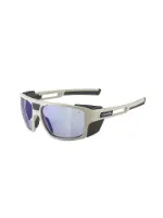 Alpina Damen Bergbrille Skywalsh V Alpina Damen Bergbrille Skywalsh V