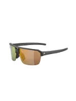 Alpina Herren Radbrille Swift HR Alpina Herren Radbrille Swift HR