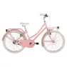 Alpina Olandesina 24´´ 1s Fahrrad