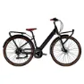 Alpina Q1 Atlanta 28´´ Lady Elektrofahrrad