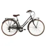 Alpina Rondine 28´´ 6s Fahrrad