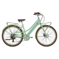 Alpina V1 Agave 27.5´´ Elektrofahrrad Alpina V1 Agave 27.5´´ Elektrofahrrad