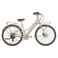 Alpina V1 Agave 27.5´´ Elektrofahrrad Alpina V1 Agave 27.5´´ Elektrofahrrad