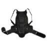 Alpinestars Bionic Rückenprotektor