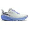 Grey / purple