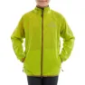 Lime 1