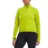 Lime 2