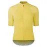 Yellow 1
