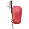 Altus Cirque 10l Rucksack