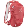 Altus Cirque 10l Rucksack