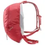 Altus Cirque 20l Rucksack