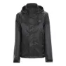 Anthracite 2