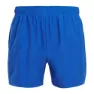 Altus Route Kurze Hose