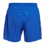 Altus Route Kurze Hose