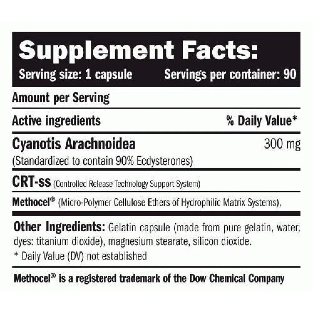 Amix Beta Ecdyx Energie 90 Einheiten, Uncolor, One Size Amix Beta Ecdyx Energie 90 Einheiten, Uncolor, One Size