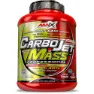 Amix Carbojet Mass Professional Kohlenhydratpulvergetränk Vanille 3kg, Red / lime, One Size
