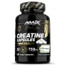 Amix Creapure® Kreatin-kapseln 120 Kapseln, One size
