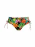 Anita Damen Bikinihose RF-Wild Garden