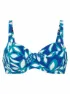 Blau 2